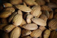 plant-seed-dry-food-ingredient-produce-natural-brown-nut-healthy-snack-almond-kernel-nuts-nutr...jpg