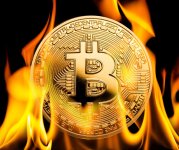 2Cryptocurrency Vs Fiat.jpg