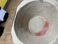 IMG_1970.jpeg