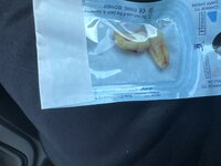 IMG_1957.jpeg