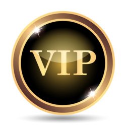 VIP Standard - 1 Month: BizNotes